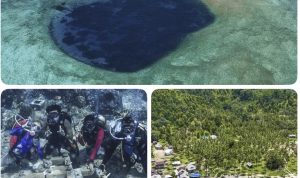 68973C30-9FE0-44B6-8D98-917A7DD02548