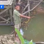 D538DFCD-0C06-4C1B-B418-CD4CADECFBD7